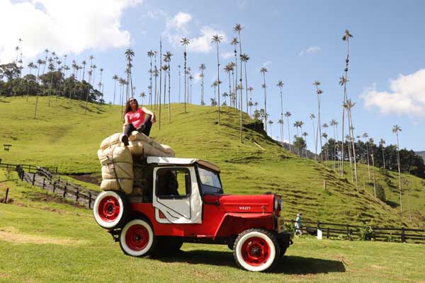 Turismo Sostenible en Colombia: Únete a Goyipao en la Conservación del Paisaje Cafetero