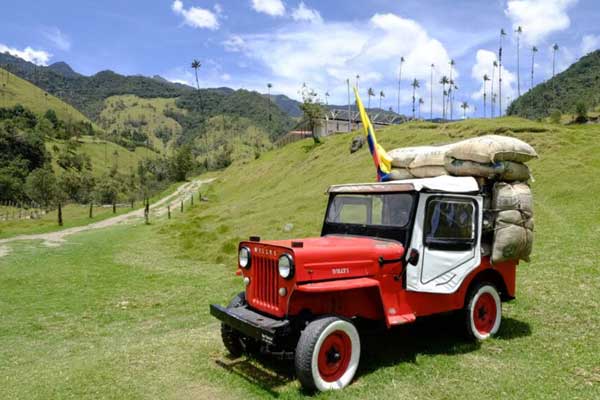 Alianzas Estratégicas para el Turismo Sostenible en Colombia: Goyipao busca Socios para el Cambio